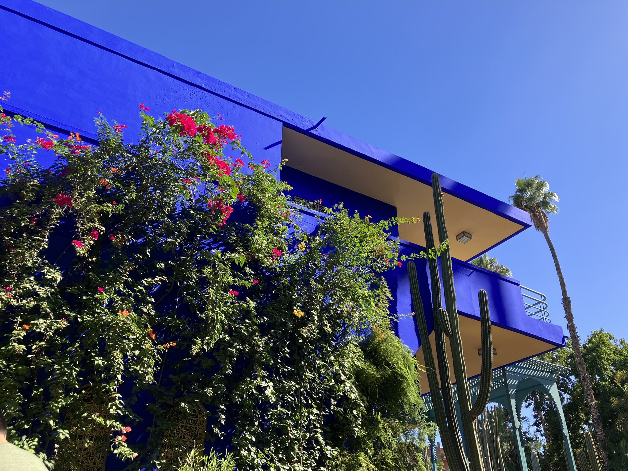 Jardin Majorelle