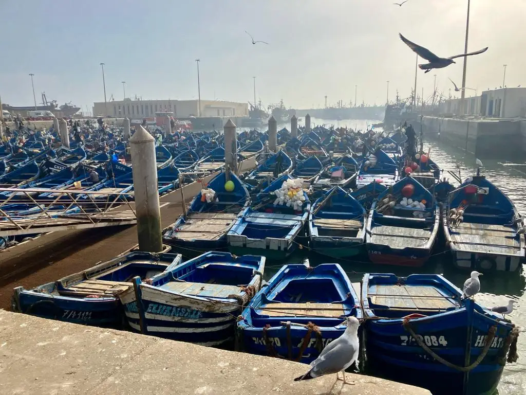 Essaouira Harbour