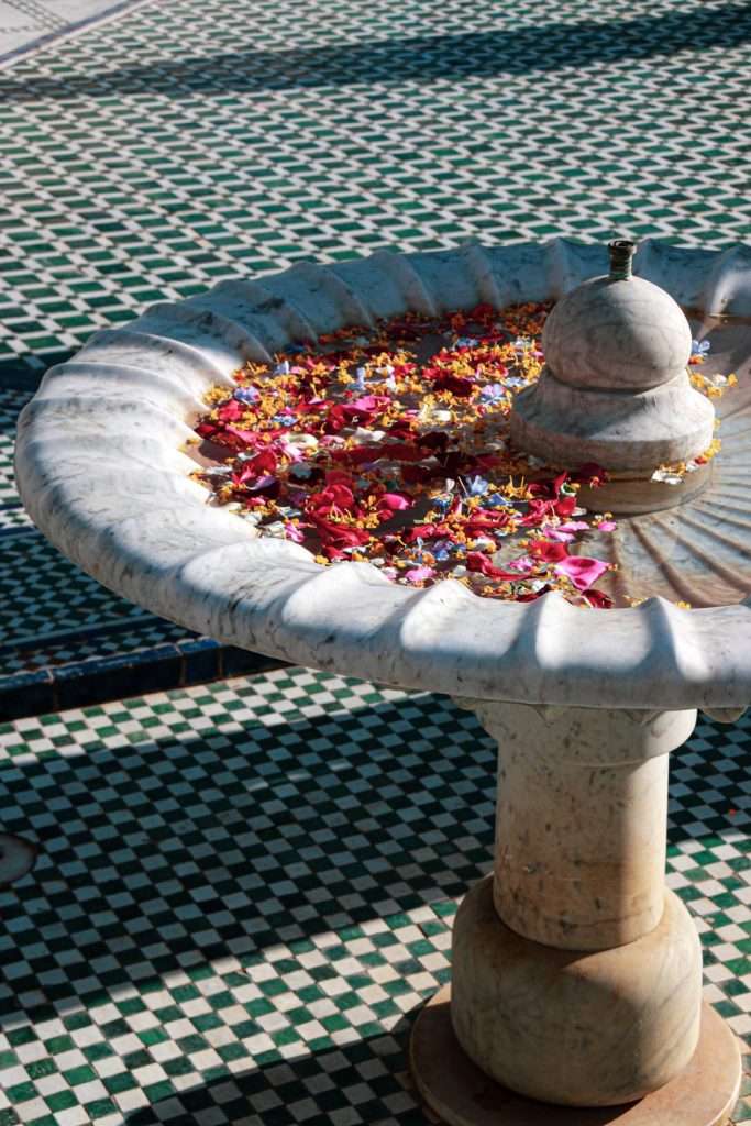 Flowers in water fountain